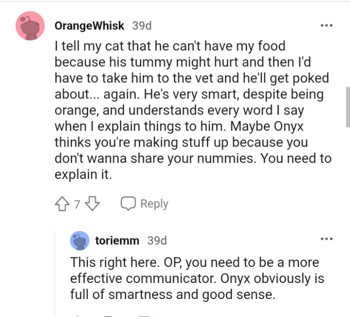 This Redditor says that their cat is very smart despite being orange