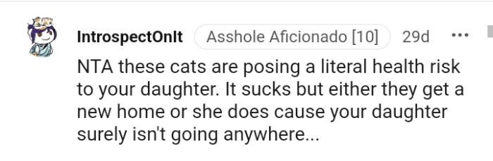 Either the cats get a new home or your girlfriend leaves