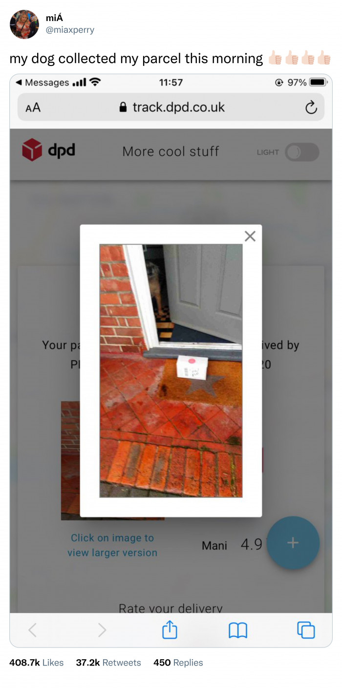 5. Such a responsible and talented doggo!