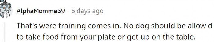 Training is important