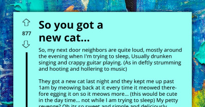 Man Goes Extra Length To Get Revenge On His Drunk Neighbours Who Got Cat And Won't Let Him Sleep