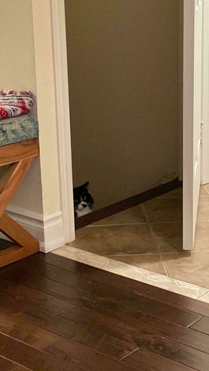 17. Every villain needs a good hiding spot—and dramatic lighting.