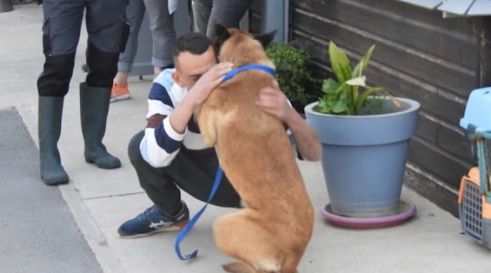 Farid had pretty much given up on ever seeing Bandit again