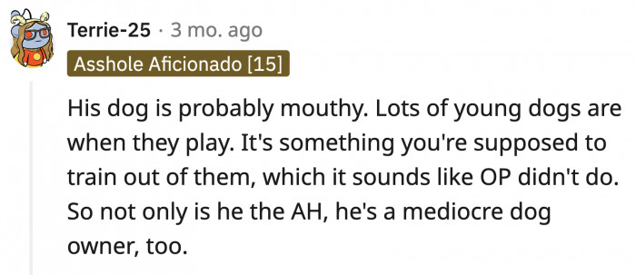 3 years old is not exactly a puppy, but calling the certified dog lover a mediocre dog owner was the best way to make him hurt