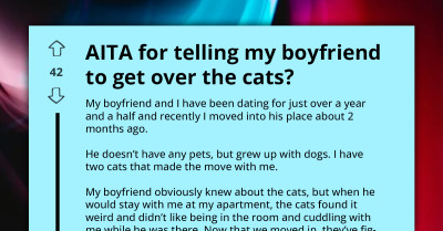 Boyfriend Threatens To Move Out Of Bedroom Over Girlfriend’s Cats' Noisy Antics At Midnight