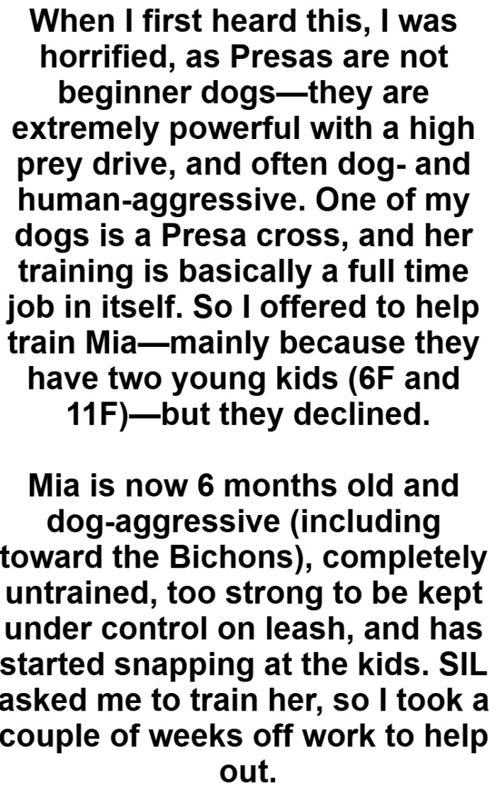 One of OP's dogs is a Presa cross, and her training is basically a full-time job in itself
