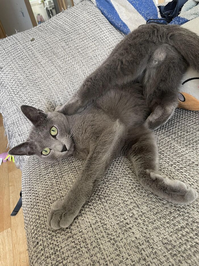 "I Am Always Surprised How Flexible He Is"