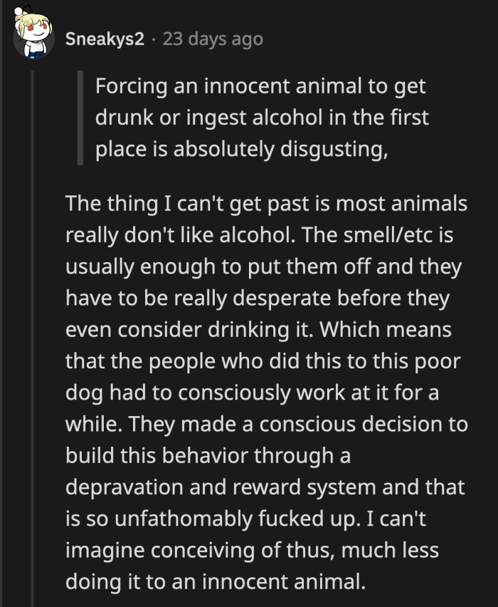 Digger's previous owners starved and physically abused him until he learned that he won't get his meal until he drank alcohol