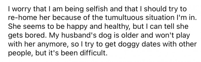 She doesn't want to give up the dog but is worried that she is not doing the right thing by her.