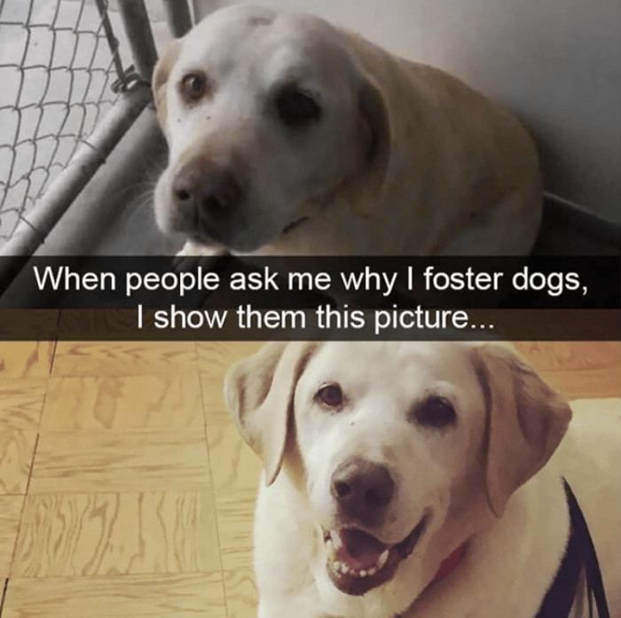 2. Worth a thousand words