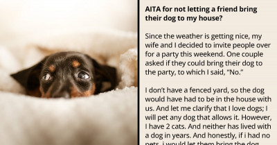 Party Host, Who Owns Cats, Broods Over Refusing To Allow An Invited Couple To Bring Their Dog Along