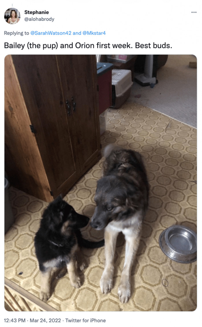 12. "We are the best of friends"