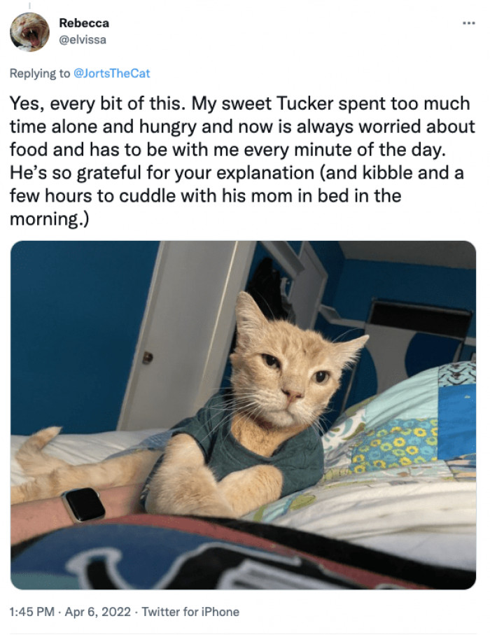 They'll take the change one step at a time, and your support is what matters.