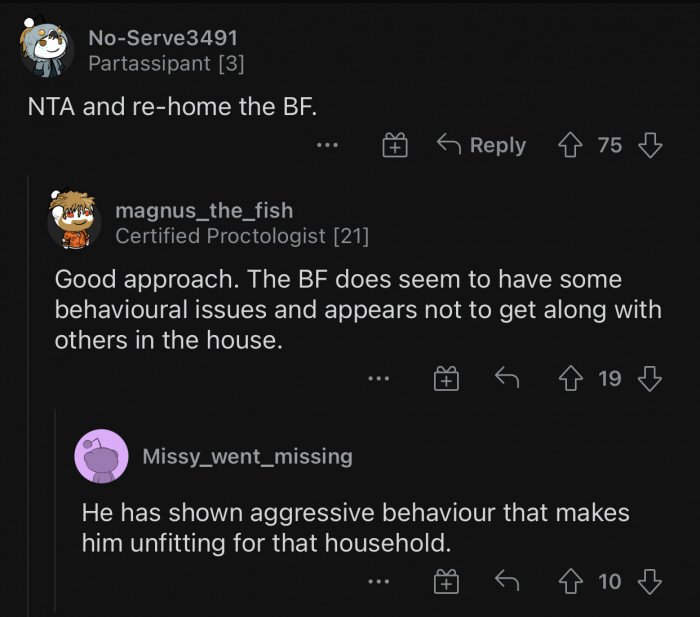 The only logical option would be to re-home the boyfriend.