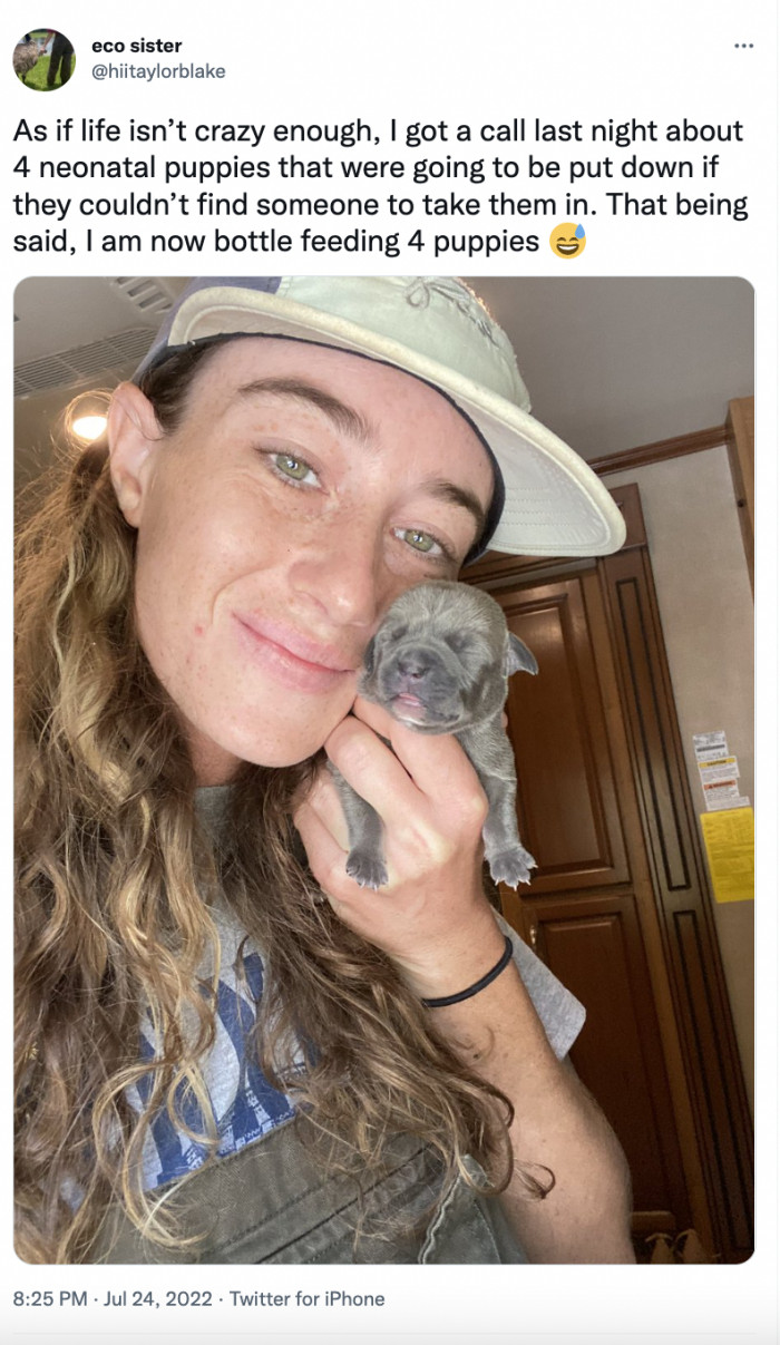 1. These puppers are going to thank her for the rest of their lives.