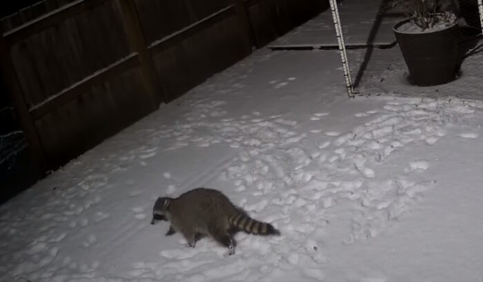 He wasn't expecting to see this: