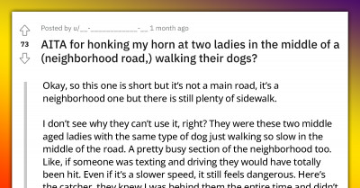 Redditor Feels Bad After Honking At Two Ladies Walking Their Dogs In The Middle Of The Road