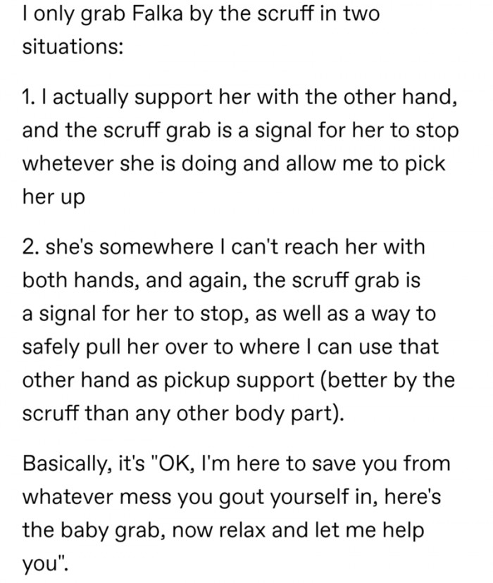 5. These are the situations people usually resort to scruffing: