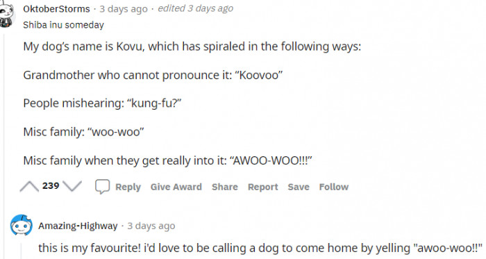 2. This dog's original name is Kovu, which then transcended to Koovoo...