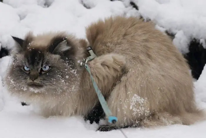 What are we doing here? Hunting? Love it.