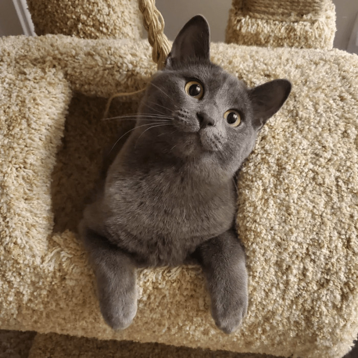 10. "Hi from Smudge!"