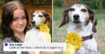 Runaway Dog Ends Up Winning Third Place In A Dog Show, Comes Home Proudly With A Rosette