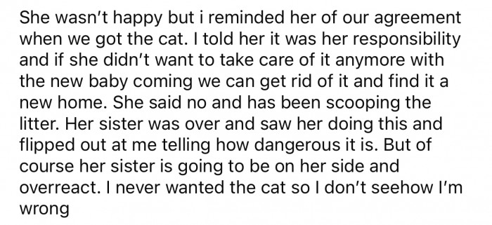 OP never wanted to have a cat and feels he's in the right for behaving that way.