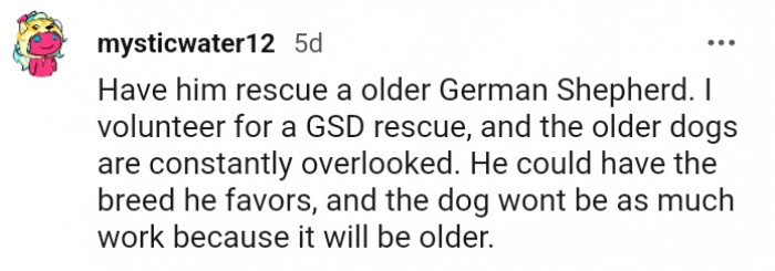 2. He could have the breed he favors