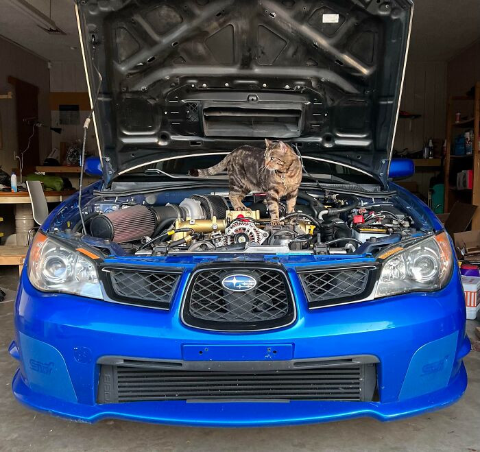 “I See The Problem Bud, Your Turbo Is In Entirely The Wrong Spot”