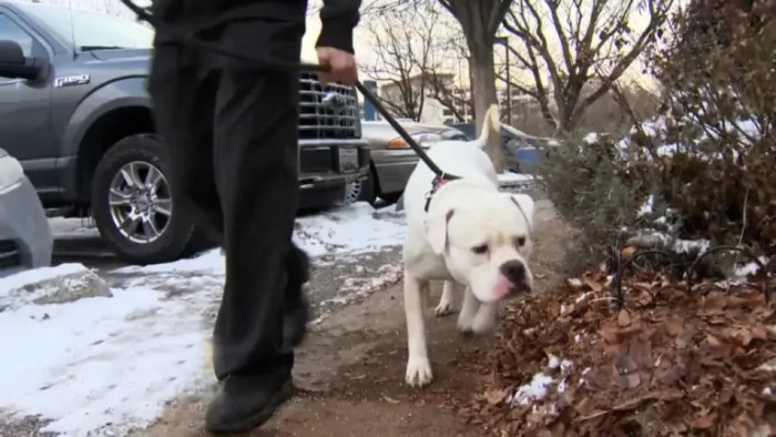 Following Stephanie's Facebook Post, Locals Went to the Park with Comfort Items