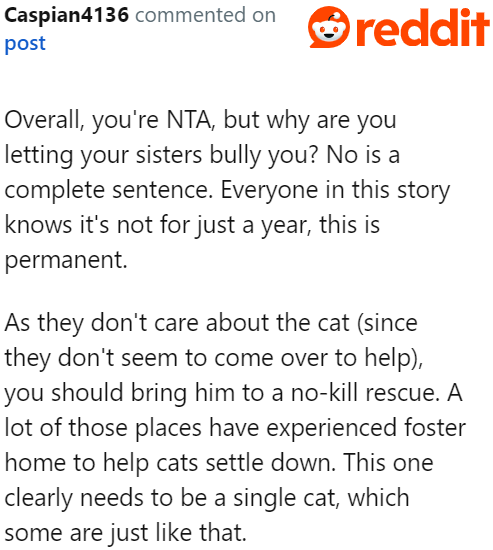 It seems that they no longer care about this cat, so she might as well give it up to a no-kill shelter.