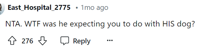 This is the question that we have too because what exactly are you supposed to do if someone else's dog is misbehaving?