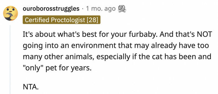 Shelby has to prioritize Felix ahead of her feelings about the breakup and OP