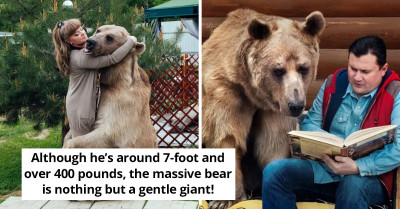 Couple Who Chose To Adopt An Orphaned Bear Cub Are Still A Happy Family For Over 23 Years Now
