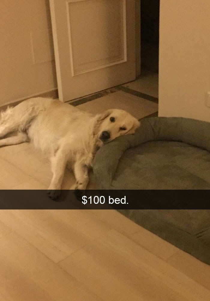3. Money well spent...
