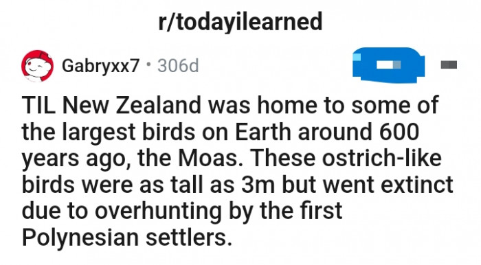Meet Redditor u/Gabryxx7 who has a interesting piece of information to share with the TodayILearned subreddit community