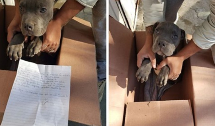 It's not really a surprise that the world is truly a cruel place to live, especially for those who possess nothing but purity and innocence. Sometimes, people have to make monumental decisions, even if it means breaking their own hearts.