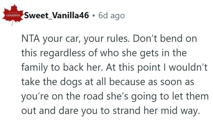 Because nothing says “family road trip” like a surprise hostage situation involving two dogs.