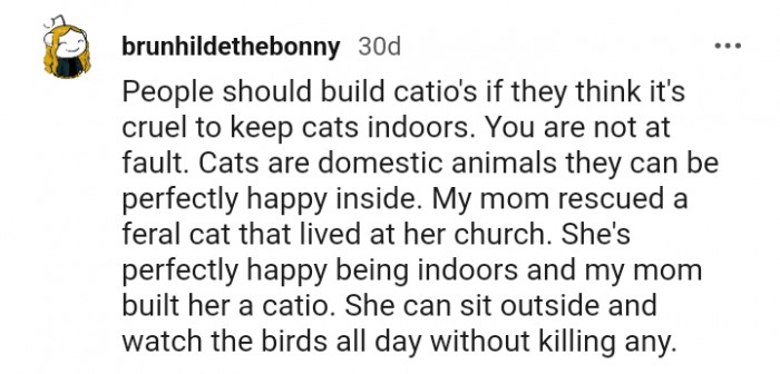 Cats are domestic animals and should be inside