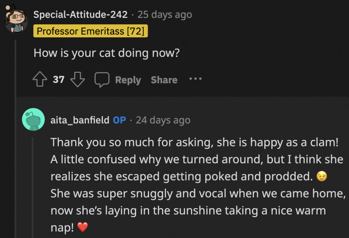 As for OP's adorable kitty, she is fine despite the sudden change in her schedule