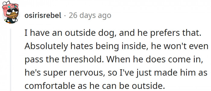 There are also dogs that don't enjoy being inside.