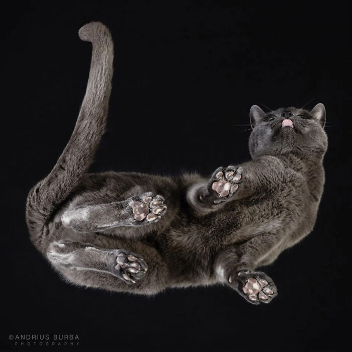 12. “When you’re 90% attitude and 10% toe beans.”