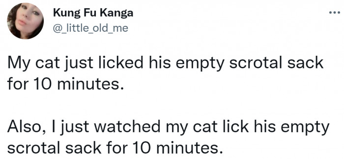 7. We have already said that we are fascinated by them...