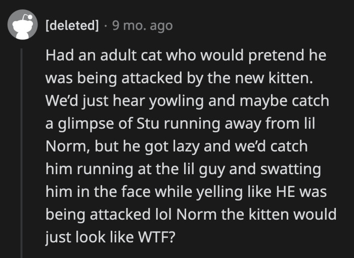 6. Stu is plotting to get Norm rehomed