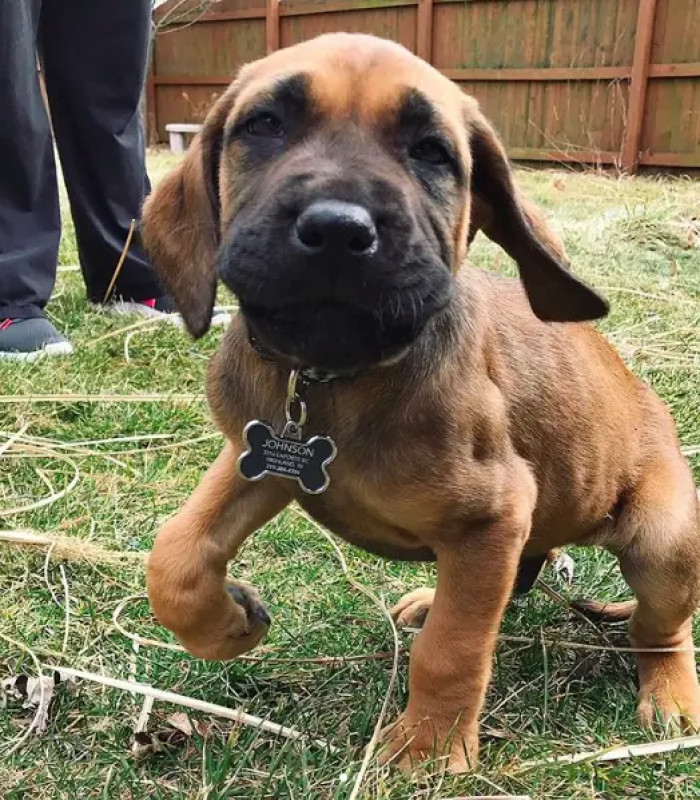 4. He's an adorable little buddy