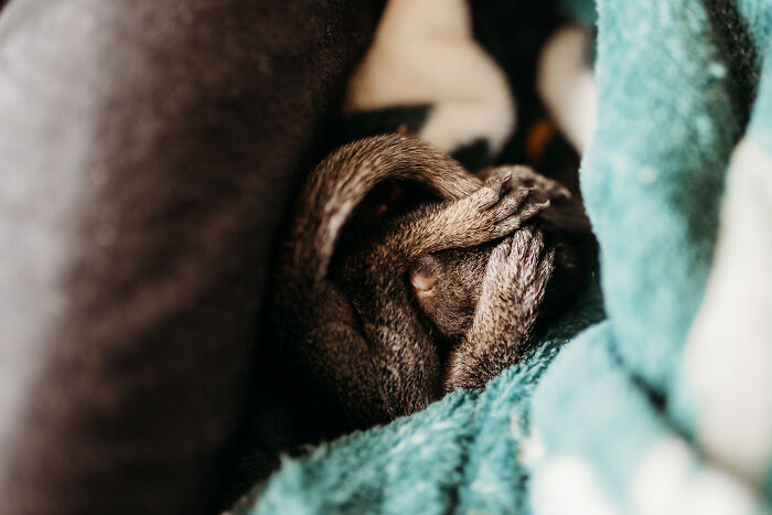 17. It's the break of dawn