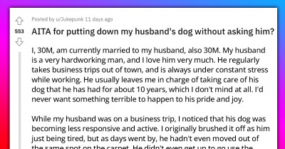 Man Euthanizes His Husband's Dog While He Was Away on a Trip, Causes Major Rift in Their Relationship