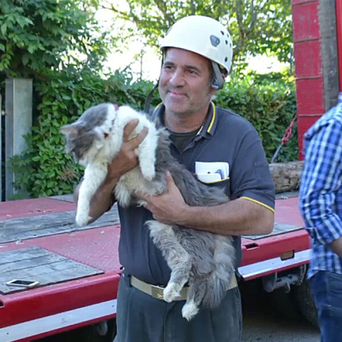 The firefighters were astonished to hear the faint meows, but they persevered and tried to rescue the cat safely.