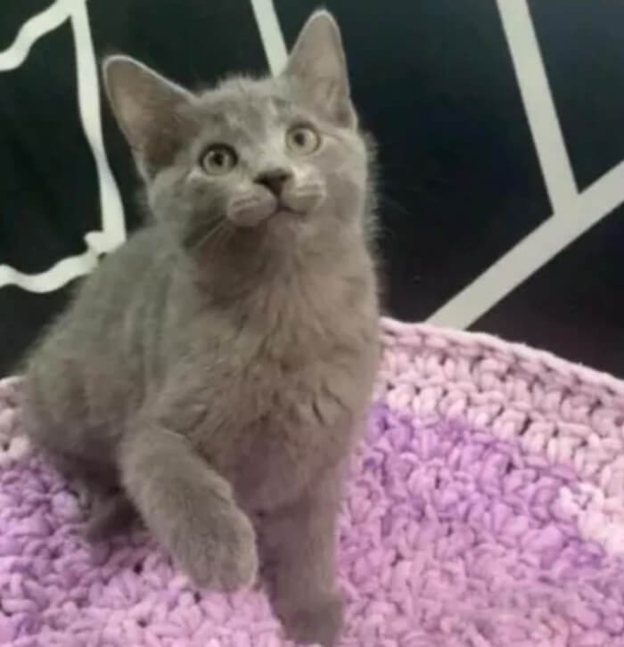 11. “I need a name for this cutie (female)!”