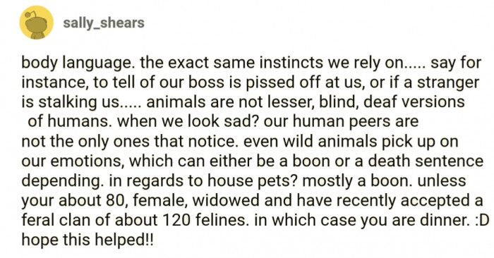 All animals, humans included, pick up on body language cues